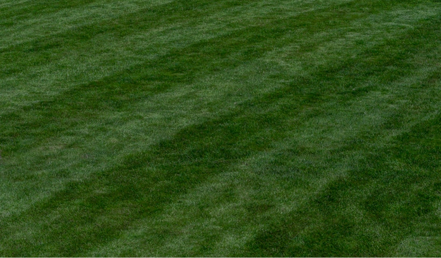 Premium. Reliable. Exceptional.