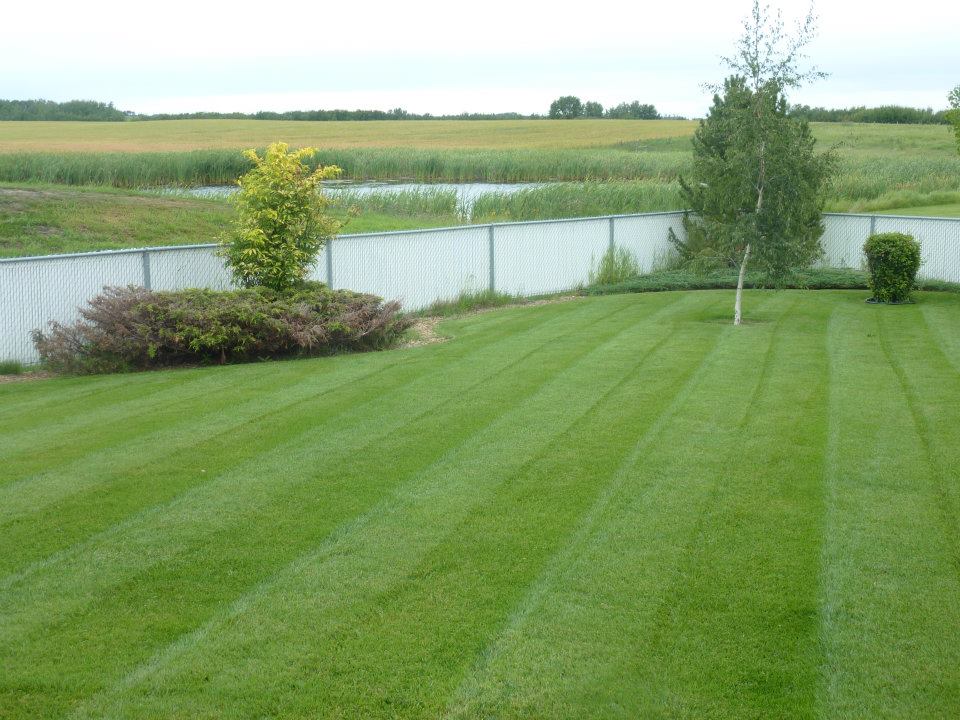 Get a Quote for Lawn Services