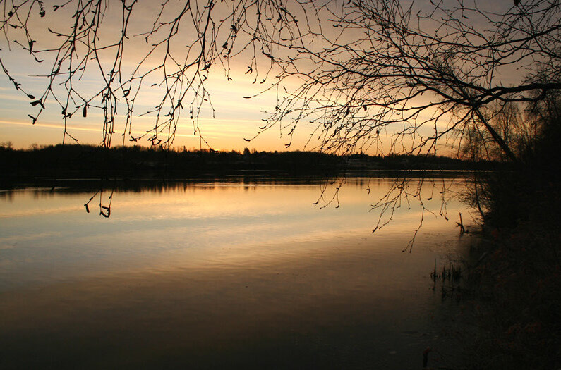 Ferintosh Lawn Services