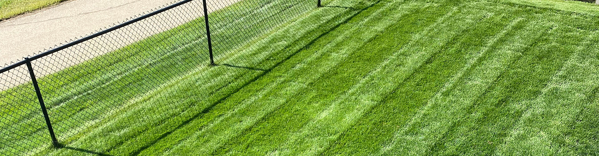 Enrich Soil Enhancer