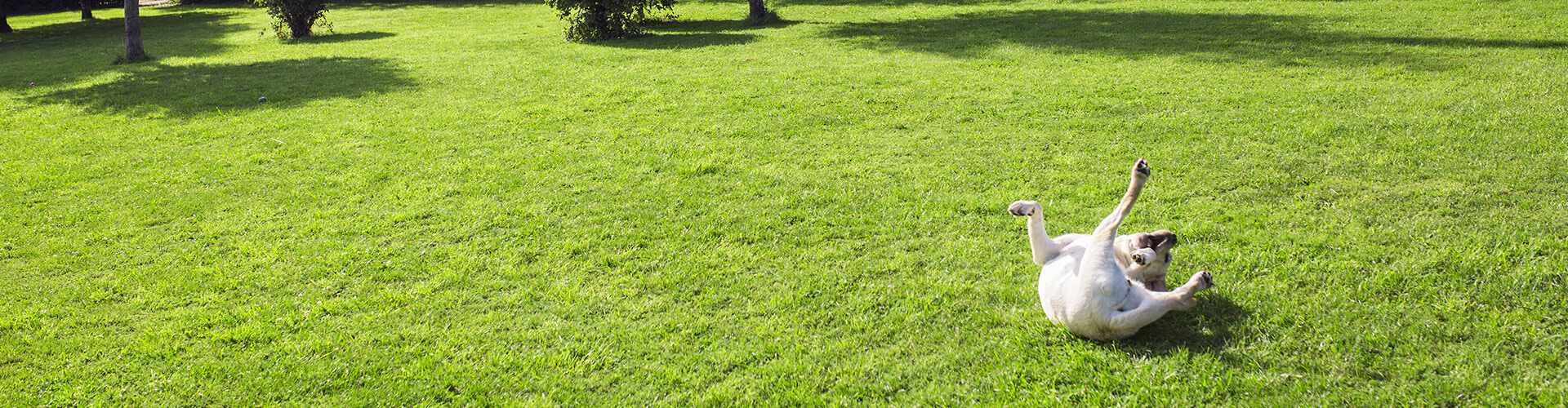 Frequently Asked Questions