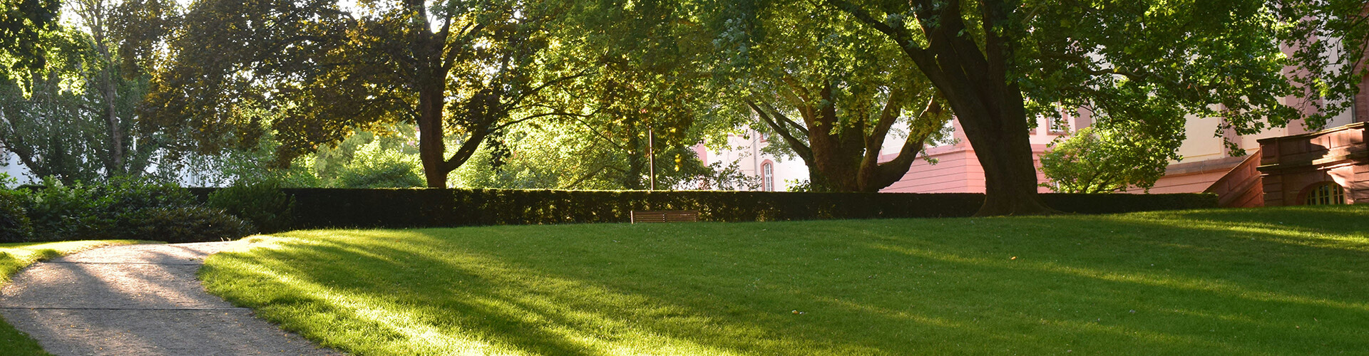 Our Core Values & Culture