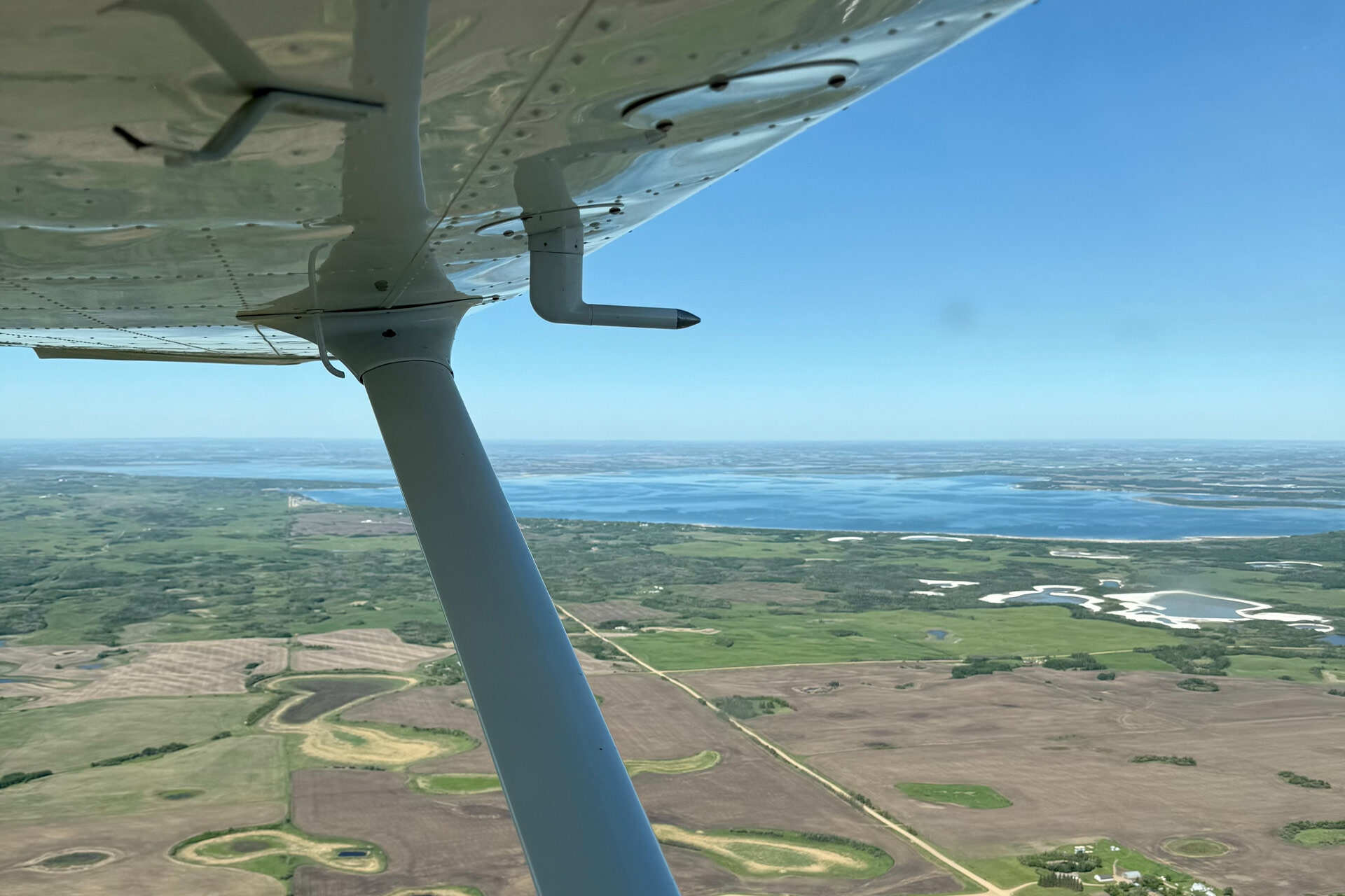 Pelican Point Lawn Services