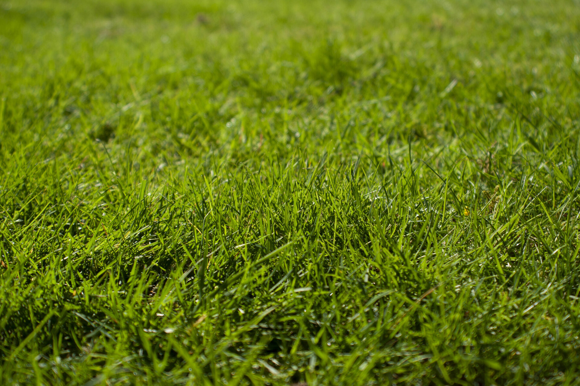 Hay Lakes Lawn Services