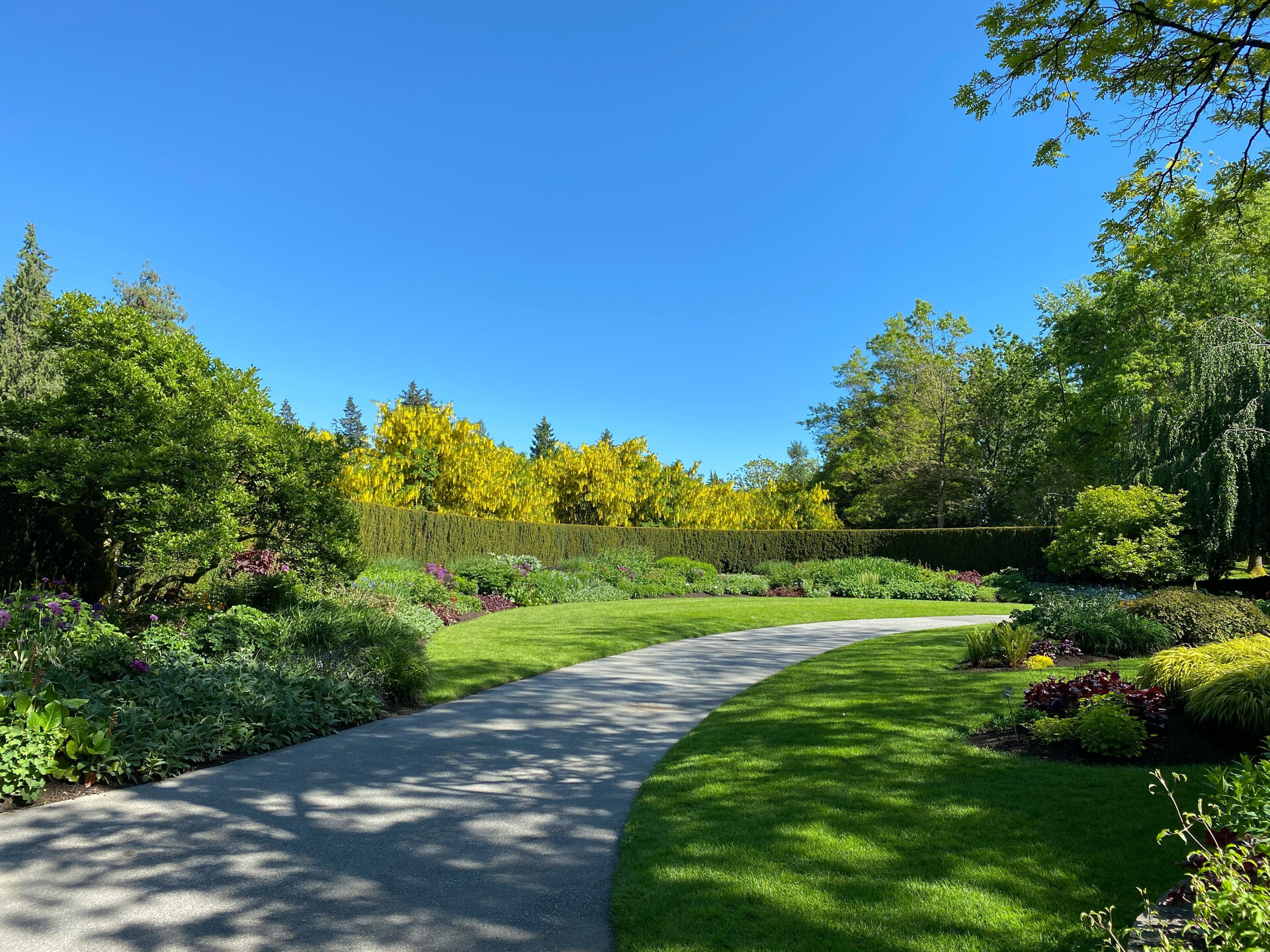 Sherwood Park Lawn Services