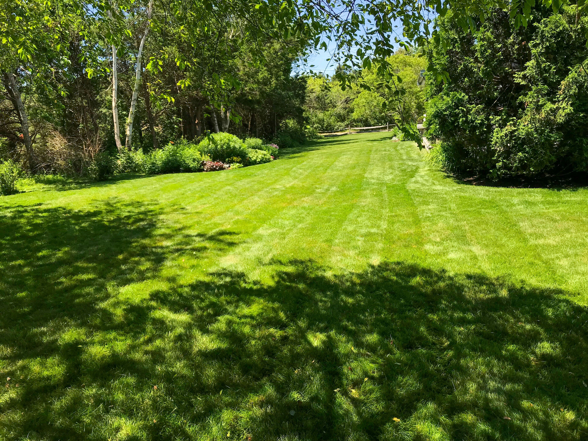 Donalda Lawn Services