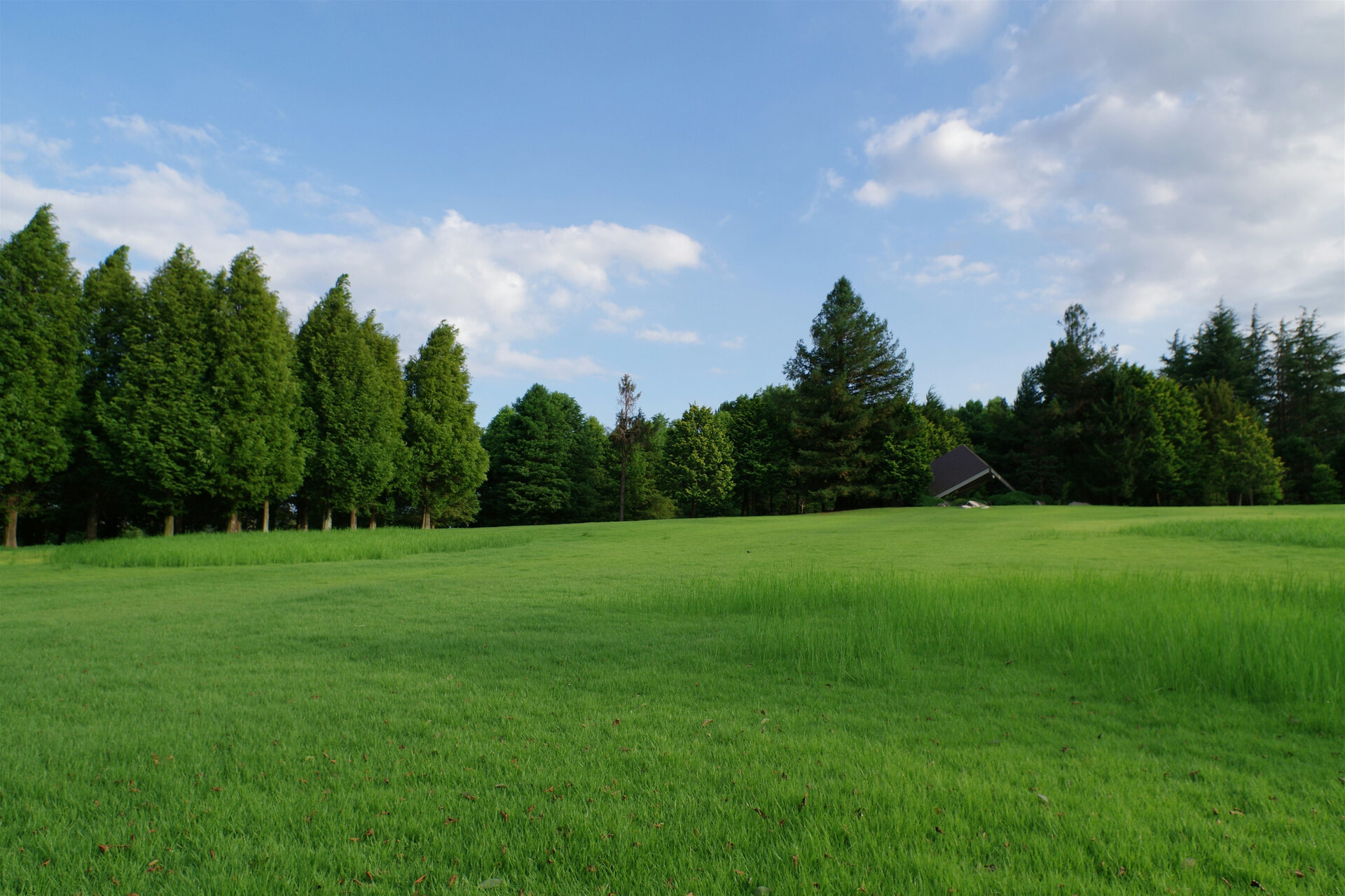 New Norway Lawn Services